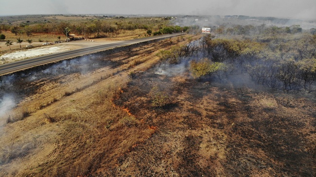 Fire consumes a field along the BR 070 highway near Cuiaba, Mato Grosso state, Brazil, Sunday, Aug. 25, 2019. [Photo: AP]