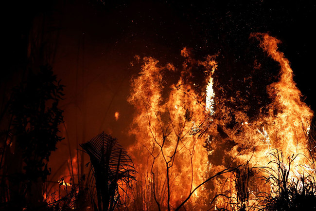 A fire burns a tract of Amazon jungle as it is cleared by loggers and farmers near Altamira, Brazil, August 27, 2019. [Photo: VCG/Nacho Doce]