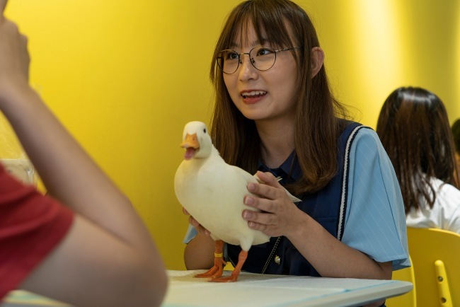This photo taken on August 29, 2019 shows a customer, posing for photos with a duck at Hey! Wego duck cafe in Chengdu in China's southwestern Sichuan province. [Photo: AFP/Pak YIU]