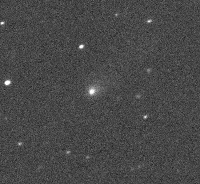 Comet C/2019 Q4 as imaged by the Canada-France-Hawaii Telescope on Hawaii's Big Island on Sept. 10, 2019. [Photo: Canada-France-Hawaii Telescope]