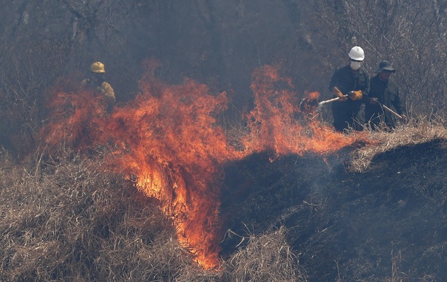 Police and firefighters work to put out a fire in the Chiquitania forest on the outskirts of Robore, Bolivia, Friday, Aug. 30, 2019. [File Photo: IC]