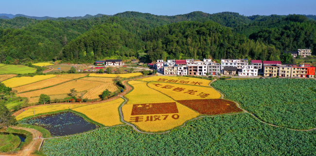Farmers' Harvest Festival was held in Xiafang village, Yongfeng county, southeast China's Jiangxi province, on Sept 21, 2019.[Photo: VCG]