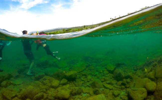 In this Sept. 12, 2019 photo, visitors stand in Kahala'u Bay in Kailua-Kona, Hawaii. Hawaii residents like Cindi Punihaole Kennedy are pitching in by volunteering to educate tourists. [Photo: AP]