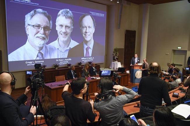 Thomas Perlmann, far right, Secretary-General of the Nobel Committee announces the 2019 Nobel laureates in Physiology or Medicine during a news conference in Stockholm, Sweden, October 7, 2019. [Photo: IC]