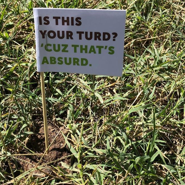 This undated photo shows the flag in the piles of dog poop in the city of Springfield, Missouri. [ Photo credit to  Springfield, MO Police Department]