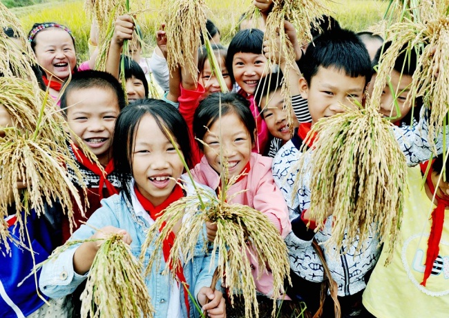 A group of primary school students in east China's Jiangxi Province display the rice ears they picked in a field ahead of World Food Day, which falls on October 16 every year. [Photo: IC]