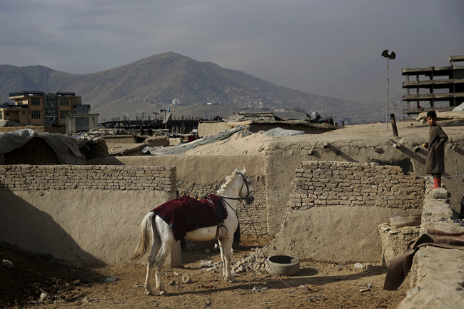 An Afghan boy stands on a wall near a horse tied up at a camp for internally displaced people in Kabul, Afghanistan, Monday, Dec. 9, 2019. [Photo: AP/Altaf Qadri]