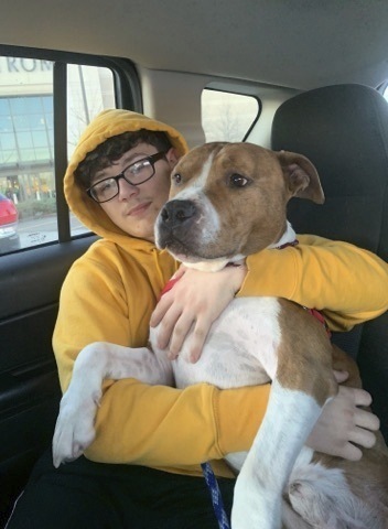 This photo provided by the Kanawha-Charleston Humane Association shows Zeus with a transport volunteer around St. Louis, Mo. Zeus, who was stolen from its owner in Montana and taken across the country to West Virginia, is on his way back home, thanks to a microchip and a group of volunteers who love animals. [Photo: AP]