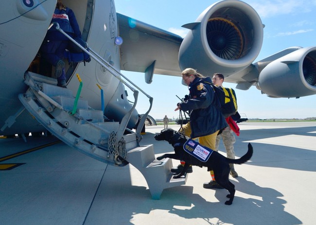 In this April 26, 2015 US Air Force handout photo, Jennifer Massey, Fairfax County, Virginia Urban Search and Rescue K-9 search specialist, and her K-9, Phayu, board a US Air Force C-17 Globemaster III at Dover Air Force Base, Delaware. [Photo: AFP]