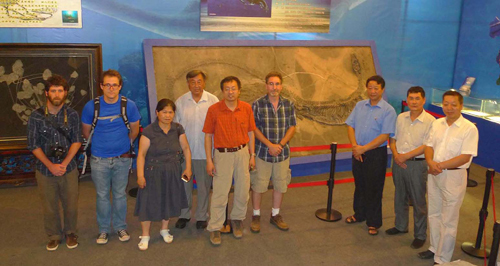 生命之石 探求之旅 ——专访贵阳金阳古生物化石博物馆馆长金仁义
