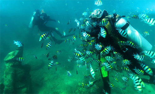 Potápěčští nadšenci zažívají klidné podmořské zázraky nedaleko ostrova Fenjiezhou (Fen-ťie-čou) na ostrově Sanya v dubnu. [Foto / Xinhua]