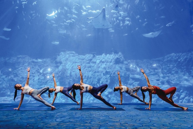 Cvičte jógu na neobvyklých místech, včetně těch, díky nimž se návštěvníci budou cítit jako pod mořem. Fotografii poskytla China Daily.