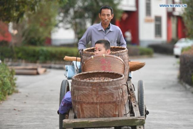 4, Vesničané ve vesnici Changkou (Čchang-kchou) v Sanmingu (San-ming) v provincii Fujian (Fu-ťien) na jihovýchodě Číny, 20. listopadu 2020. Po dobu více než 20 let trvá vesnice Changkou na ekonomickém rozvoji na základě výhod zdrojů místních hor, vod a zemědělské půdy. V roce 2019 činil kolektivní ekonomický příjem této vesnice 1,22 milionu yuanů (asi 185.550 amerických dolarů) a disponibilní příjem na obyvatele dosáhl 23.600 yuanů. (Xinhua / Song Weiwei)
