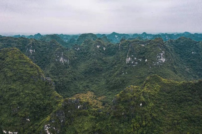 Snímek 2: Letecké snímky rezervace pro ochranu hulmanů bělohlavých v Qunan (Čchü-nan) ve městě Chongzuo (Čchung-cuo)
