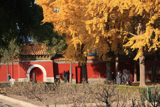 Beijing, con un color especial otoñal