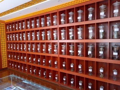 Le centre de recherches de la médecine et pharmacie de Miao du bourg Xingwen (Photo fournie par le bureau de communication du bourg de Xingwen)