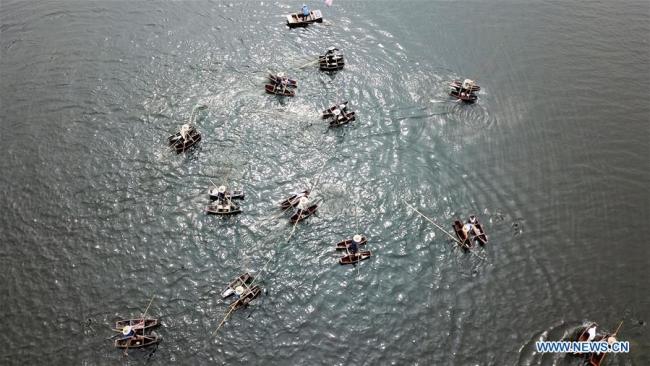  Des villageois pêchent à l'aide de cormorans sur la rivière Suihe, dans le district de Lingbi de la province chinoise de l'Anhui (est), le 29 avril 2018. (Photo : Zhang Duan)