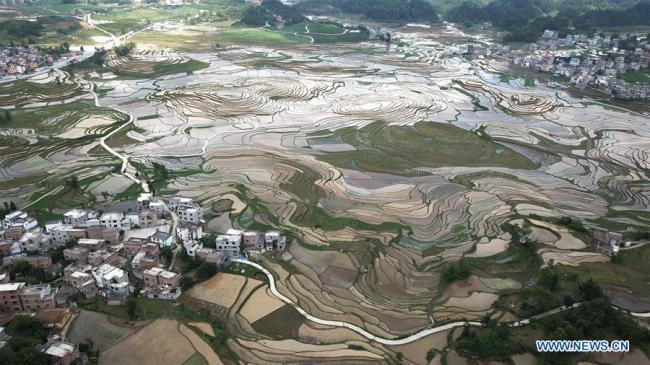 Photo prise le 13 mai 2018 montrant des champs en terrasses après la pluie dans le village de Baping, dans le district de Nandan de la région autonome Zhuang du Guangxi (sud de la Chine). (Xinhua/Huang Shangbiao)