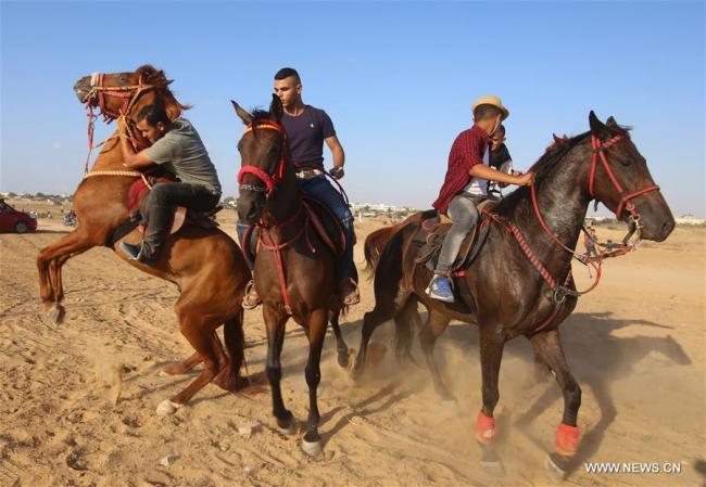  Des hommes palestiniens montent à cheval lors d'une course de chevaux locale dans la ville de Rafah, dans le sud de la bande de Gaza, le 9 septembre 2018. (Photo : Khaled Omar)