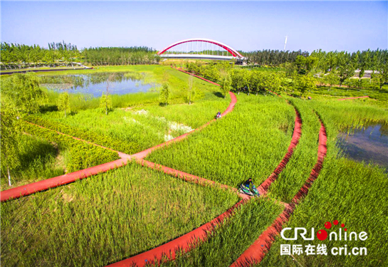 La galerie verte de la construction de la ville-éponge de Fengxi  (source : Commission de gestion de la nouvelle ville de Fengxi de Xi’xian)