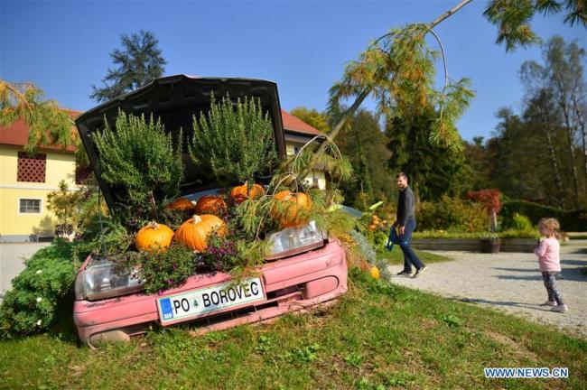 Des citrouilles lors d'une exposition amusante de citrouilles dans un parc botanique situé à environ 20 km de Ljubljana, en Slovénie, le 13 octobre 2018. Une exposition amusante de citrouilles a été organisée récemment pour célébrer la saison de la récolte de ce légume. (Photo : Matic Stojs)