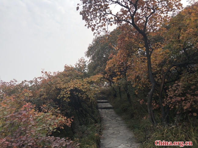 Pofengling est une colline particulièrement renommée pour sa couverture automnale de feuilles rouges, raison pour laquelle elle reste un endroit très prisé pour une sortie saisonnière chez les résidents de Beijing. Elle se trouve à seulement 52 km du centre-ville de la capitale. La zone d'observation des feuilles rouges couvre quant à elle environ 100 hectares et un sentier de randonnée long de 6 km ne représente qu'un défi modéré en raison de la pente douce de la montagne.
