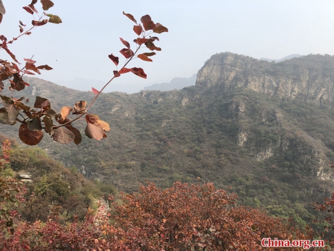 Pofengling est une colline particulièrement renommée pour sa couverture automnale de feuilles rouges, raison pour laquelle elle reste un endroit très prisé pour une sortie saisonnière chez les résidents de Beijing. Elle se trouve à seulement 52 km du centre-ville de la capitale. La zone d'observation des feuilles rouges couvre quant à elle environ 100 hectares et un sentier de randonnée long de 6 km ne représente qu'un défi modéré en raison de la pente douce de la montagne.
