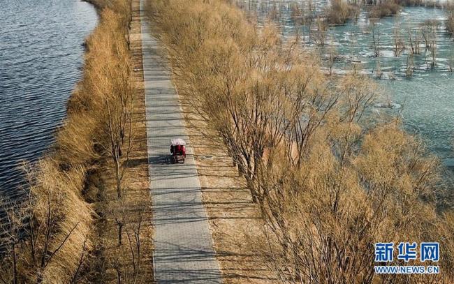 Beijing : le lac des canards sauvages de Yanqing rouvre ses portes au public