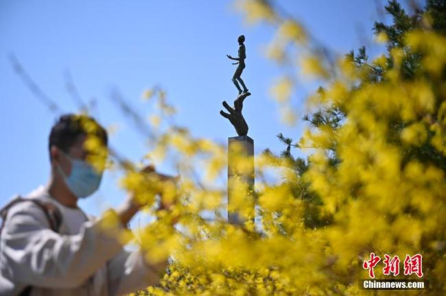 Le 22 mars, un visiteur prend des photos au parc international des sculptures de Beijing. Pour mieux assurer la sécurité des touristes, le parc a proposé plusieurs mesures pour contrôler les flux de visiteurs, dont une limite du nombre de personnes pouvant entrer chaque jour dans le parc et l’annulation du festival des fleurs de magnolia.