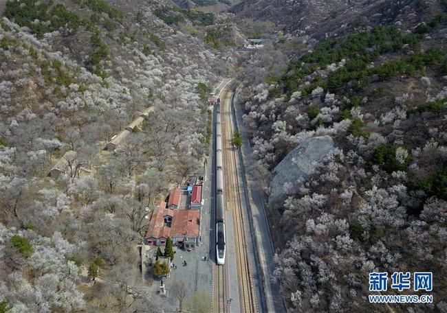 Photo aérienne prise le 8 avril, montrant un train stationnant à la gare de Qinglongqiao sur la ligne de chemin de fer Beijing-Zhangjiakou, à Beijing. Chaque année, durant la saison de la floraison des fleurs, cette gare centenaire attire de nombreux visiteurs. (Photos: Zhang Chenlin/Xinhua)