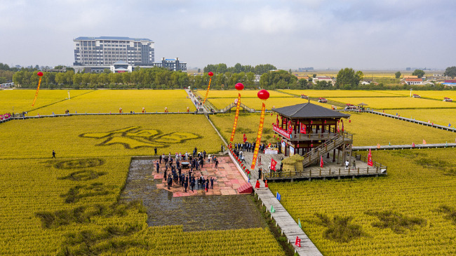 Le mardi 22 septembre marque le Festival des récoltes des agriculteurs de Chine. Toutes sortes d'activités agricoles ont été organisées à travers le pays pour célébrer la bonne récolte de l'année et souhaiter une vie heureuse aux agriculteurs. 