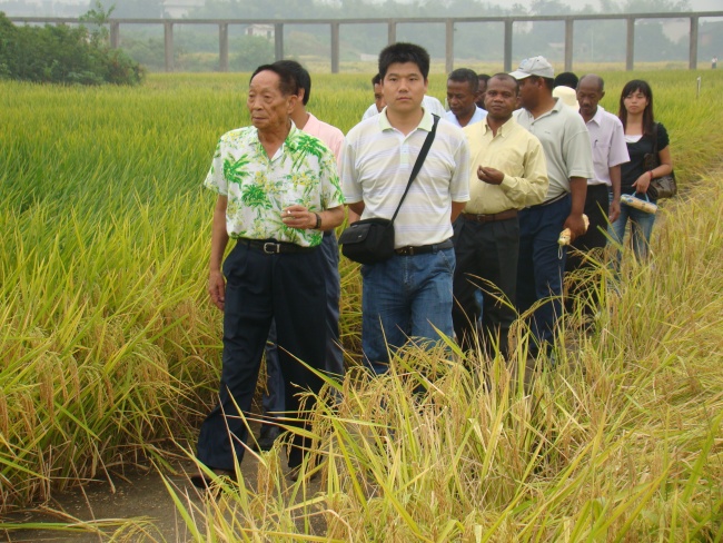 Madagascar a tiré profit du riz hybride chinois