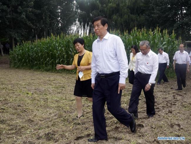 Ο Λι Τζανσού πραγματοποιεί επιτόπια επιθεώρηση στην πόλη Τζινάν, στην επαρχία Σαντόνγκ της ανατολικής Κίνας, στις 25 Αυγούστου 2020. (φωτογραφία/ Xinhua)