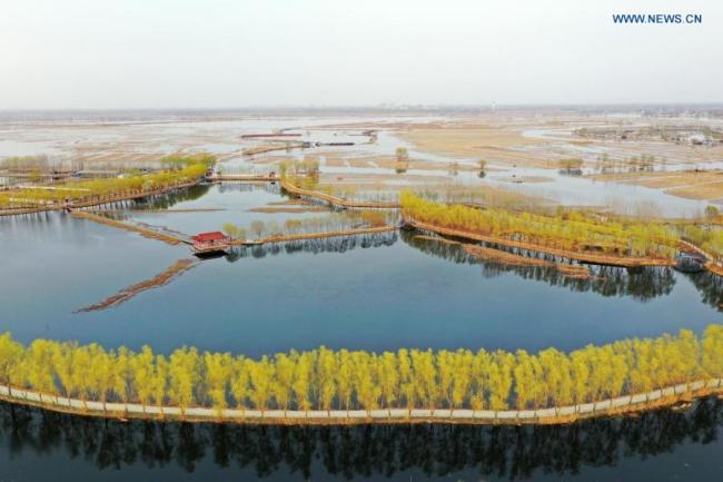 Η εναέρια φωτογραφία που τραβήχτηκε στις 16 Μαρτίου 2021 δείχνει το τοπίο της λίμνης Μπαϊγιανγκντιέν στην Νέα Περιοχή Σιονγκ’άν, στην επαρχία Χεμπέι της βόρειας Κίνας.