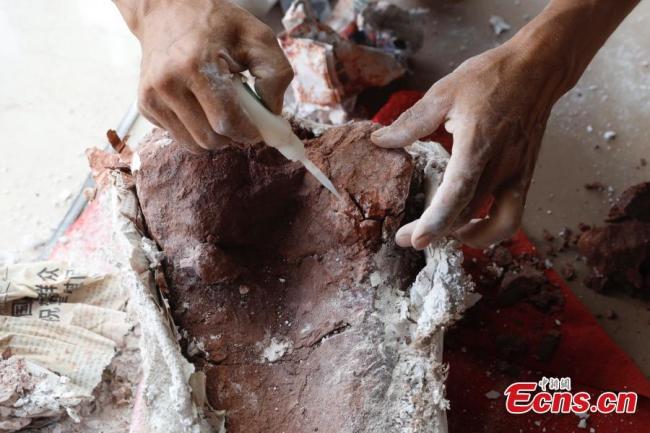 Ερευνητές συντηρούν απολιθώματα δεινοσαύρων στην πόλη Λουφένγκ, στην επαρχία Γιουνάν της νοτιοδυτικής Κίνας. (Φωτογραφία / China News Service)