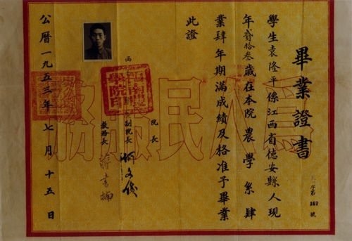Diploma universitario di Yuan Longping