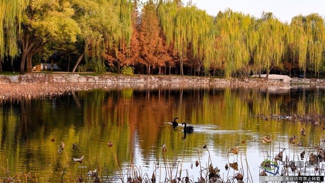 Прекрасные пейзажи парка Ихэюань в Пекине