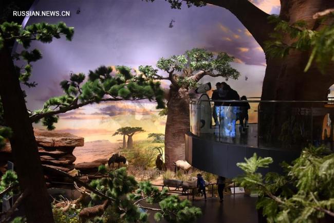 В Китае открылся Музей естественной истории Беринга