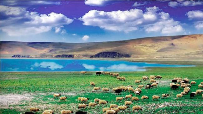 Цинхай-Тибетское нагорье осталось одним из самых чистых регионов на Земле