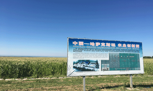 Китайско-казахстанское сотрудничество в сфере сельского хозяйства успешно развивается