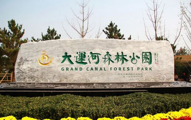 Большой бесплатный лесной парк на востоке Пекина