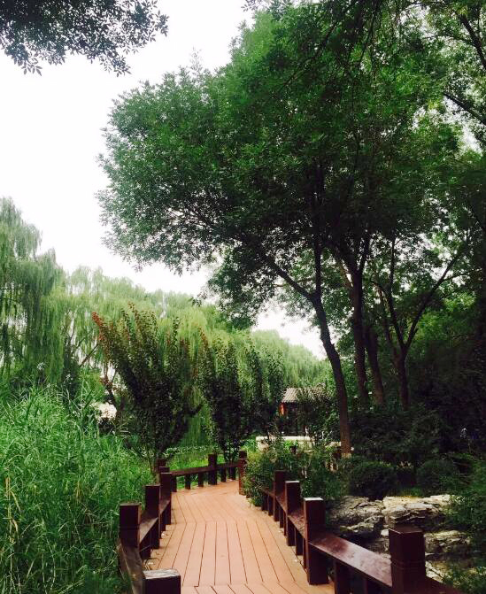 Тихий парк в самом центре Пекина