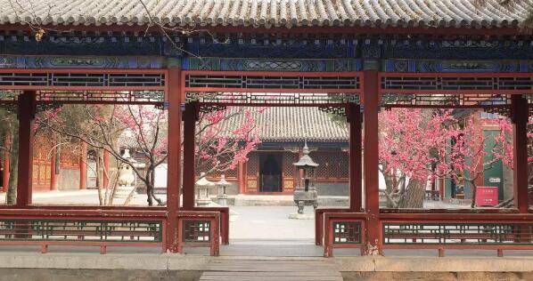 Парк Дагуаньюань украсили шелковыми цветами сливы