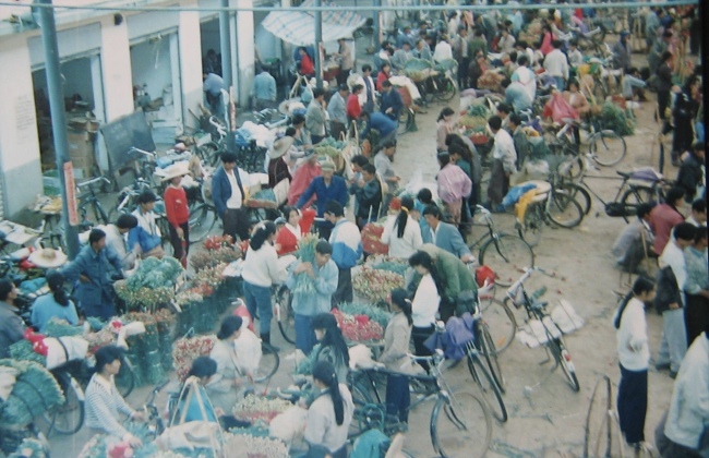 Доунань – за 30 лет мелкое село превратилось в крупнейший в Азии цветочный рынок