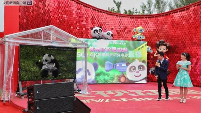  На садоводческой ЭКСПО в Пекине прошел День панды