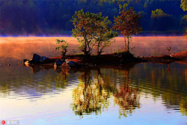 صبح کی روشنی میں جھیل کا خوبصورت منظر
