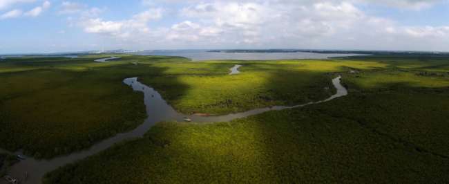 چین کے ساحلی شہر ہائی کھو کے دلدلی علاقے کے تحفظ میں نمایاں پیش رفت