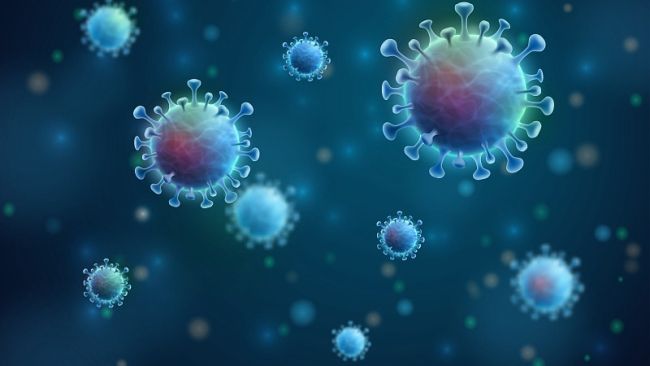Snímek: Pravděpodobnost, že nový koronavirus, který způsobil pandemii COVID-19, unikl z laboratoře, je nulová, řekl francouzský expert na biologickou bezpečnost Gabriel Gras. /CFP