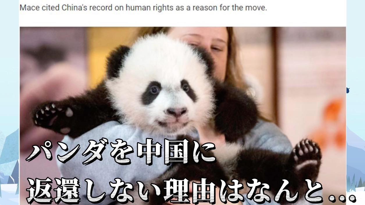 ＜カンカンSHOW＞パンダにまで「人権」！？ダブルスタンダードが過ぎますよ！