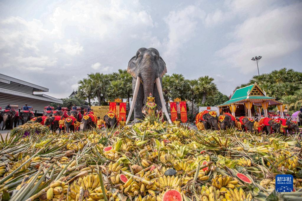 Ranar giwaye a kasar Thailand